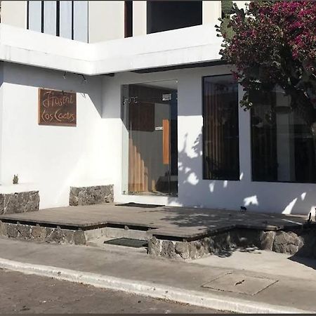 Cactus Hostel Puerto Baquerizo Moreno Kültér fotó