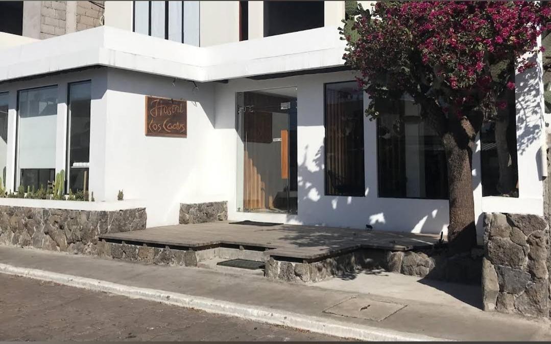 Cactus Hostel Puerto Baquerizo Moreno Kültér fotó